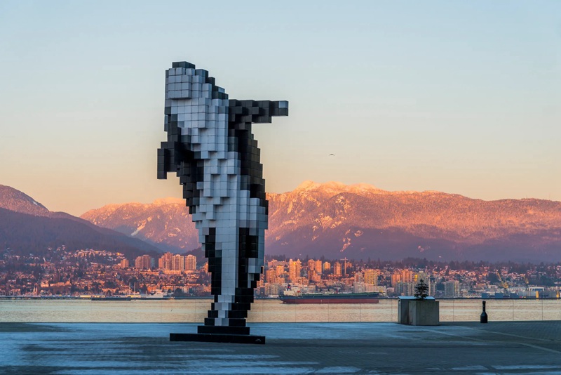 Digital Orca-YouFine Sculpture